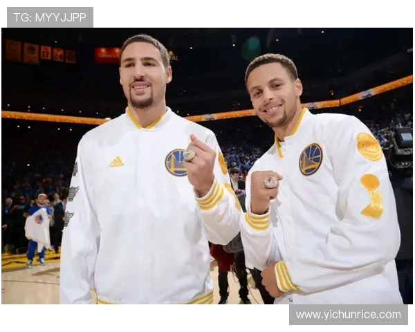 伤病围城下的新生：灰熊新人潮的意外密码